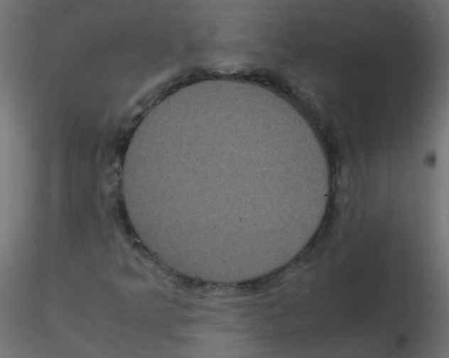 X0000116601349200912312048