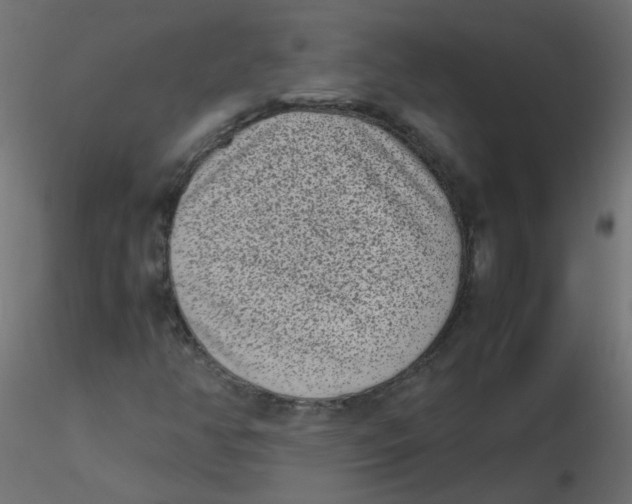 X0000116601350200912312048