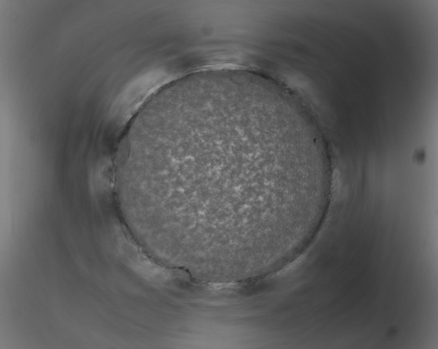 X0000116601353200912312048