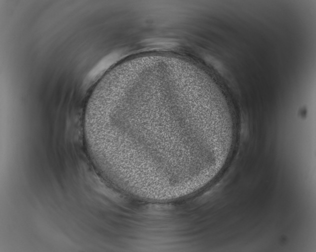 X0000116601354200912312048