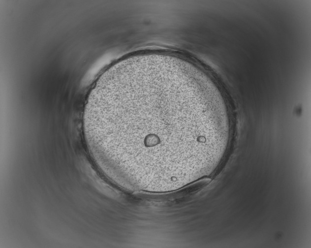 X0000116601355200912312048