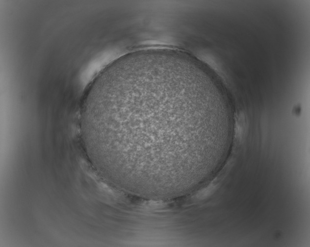 X0000116601357200912312048