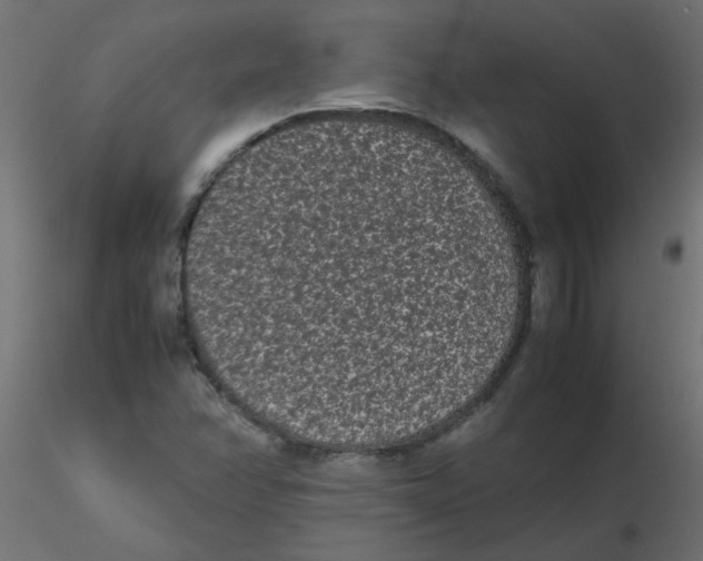 X0000116601358200912312048