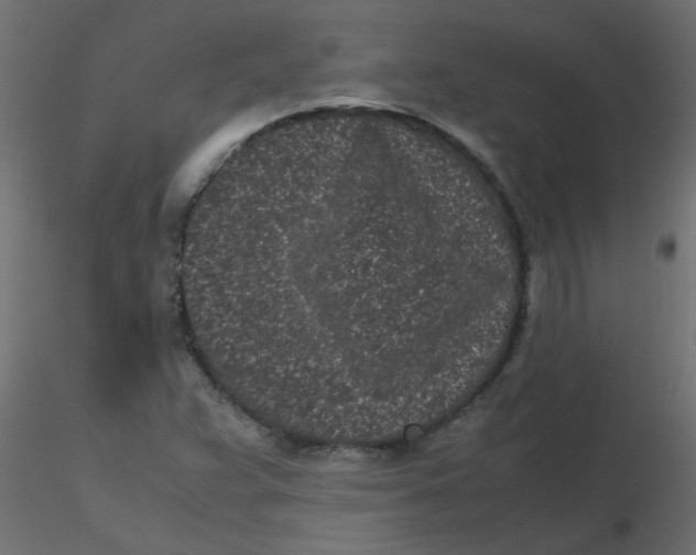 X0000116601359200912312048