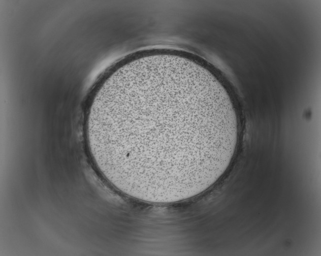 X0000116601360200912312048