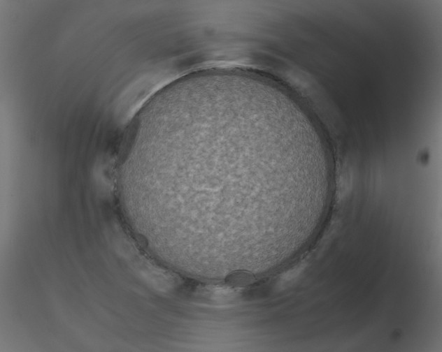 X0000116601361200912312048