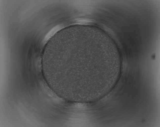 X0000116601362200912312048