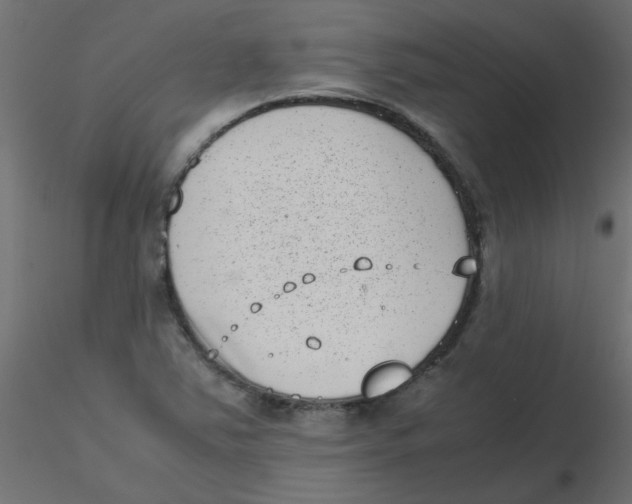 X0000116601363200912312048