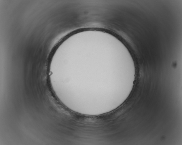 X0000116601364200912312048