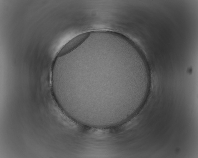 X0000116601365200912312048