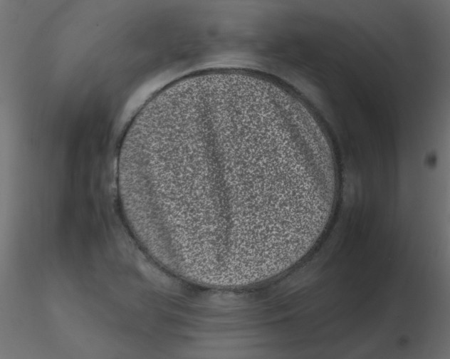 X0000116601366200912312048