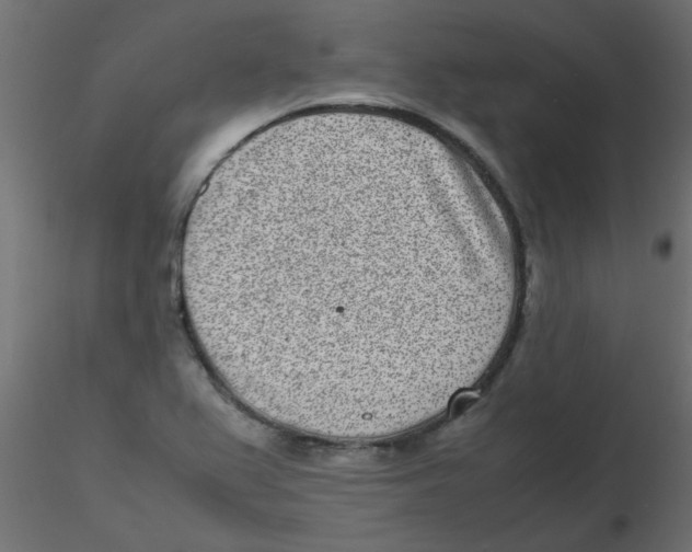 X0000116601367200912312048