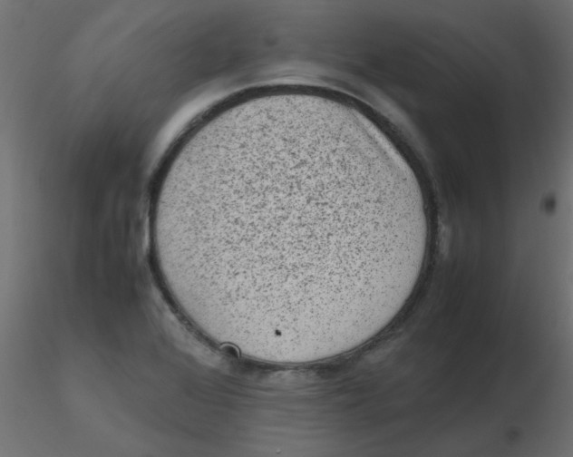 X0000116601368200912312048