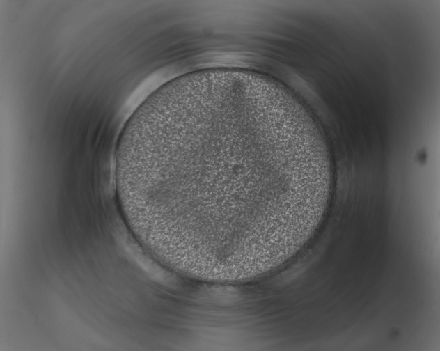 X0000116601370200912312048