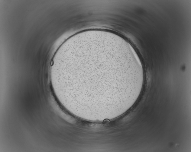 X0000116601371200912312048