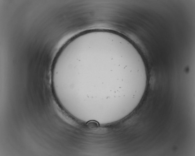 X0000116601372200912312048