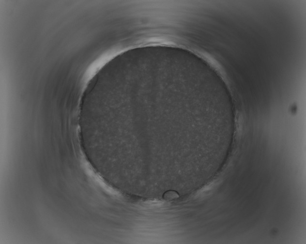 X0000116601373200912312048