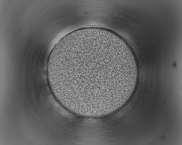 X0000116601374200912312048