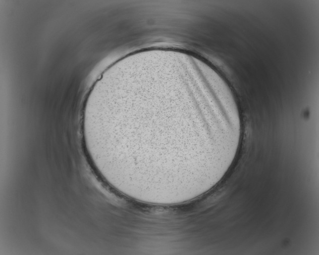 X0000116601375200912312048