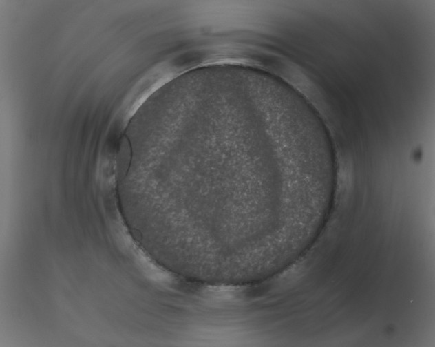 X0000116601377200912312048