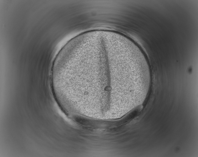 X0000116601379200912312048