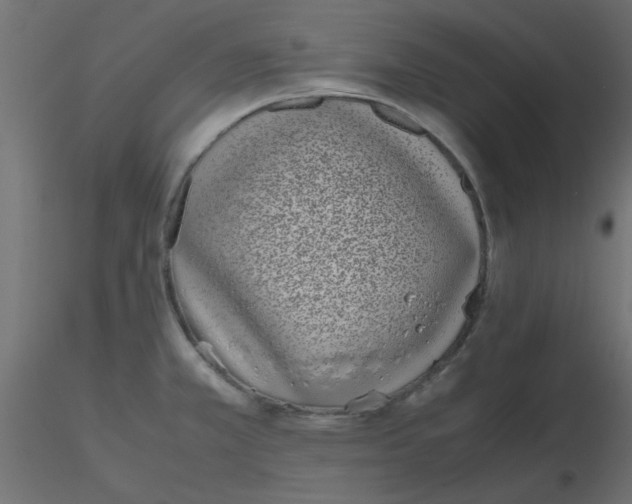 X0000116601381200912312048