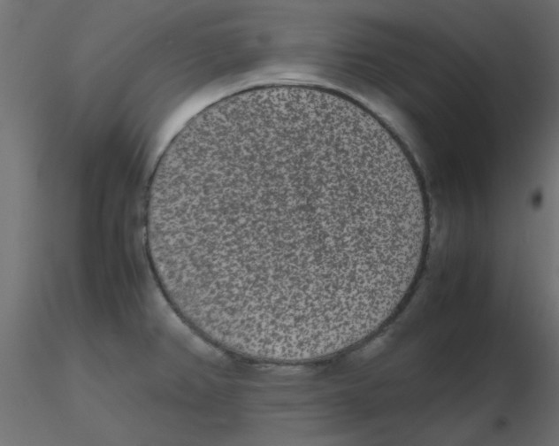 X0000116601382200912312048