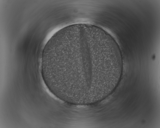 X0000116601383200912312048