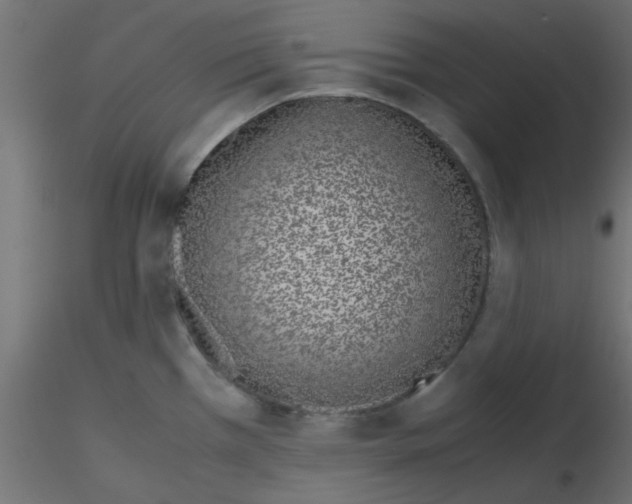 X0000116601385200912312048