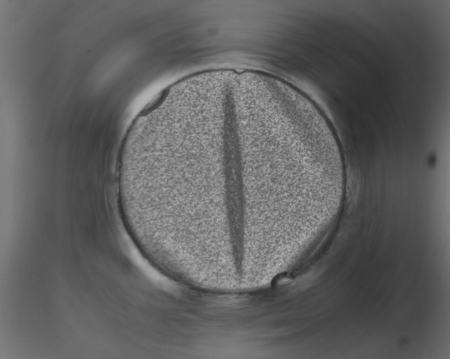 X0000116601387200912312048