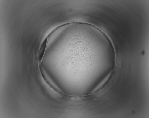 X0000116601389200912312048