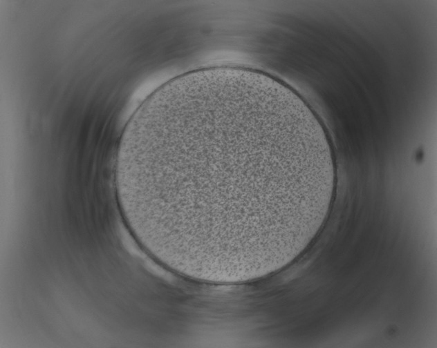 X0000116601390200912312048