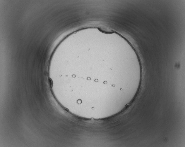 X0000116601392200912312048