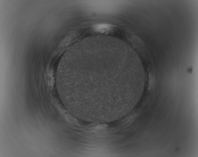 X0000116601394200912312047