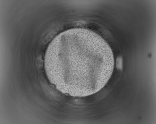 X0000116601395200912312047