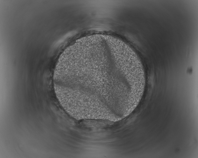 X0000116601398200912312047