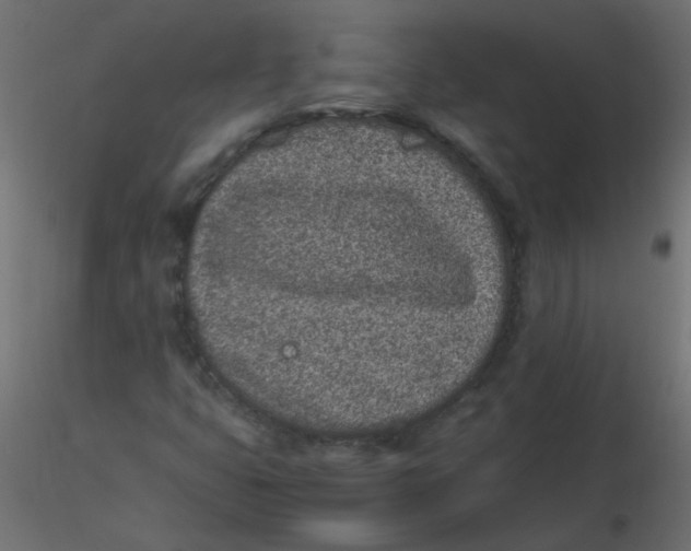 X0000116601399200912312047