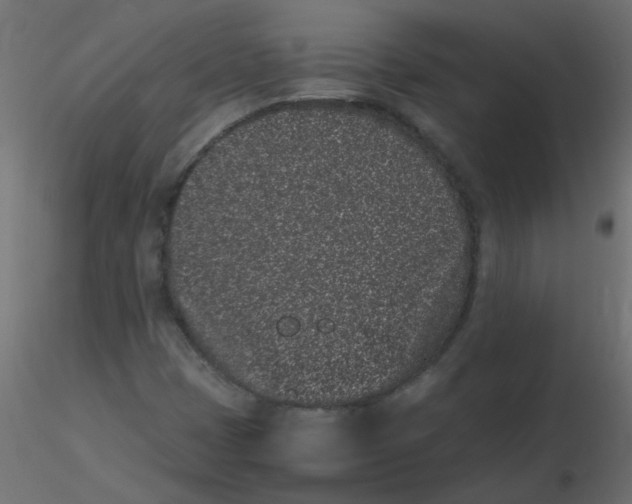 X0000116601401200912312047