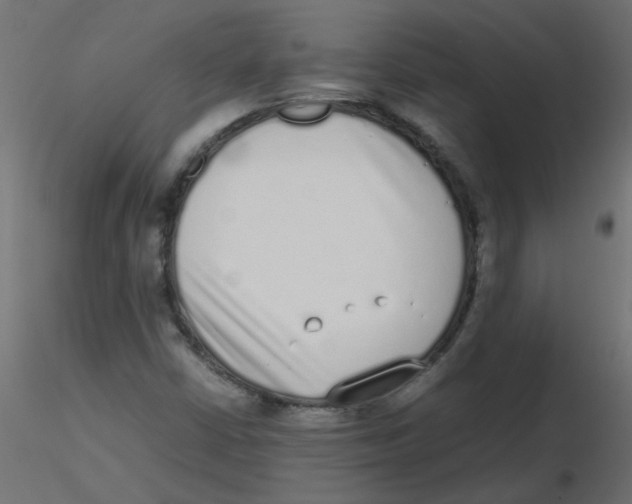 X0000116601402200912312047