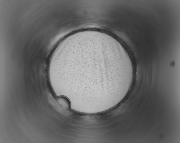 X0000116601404200912312047