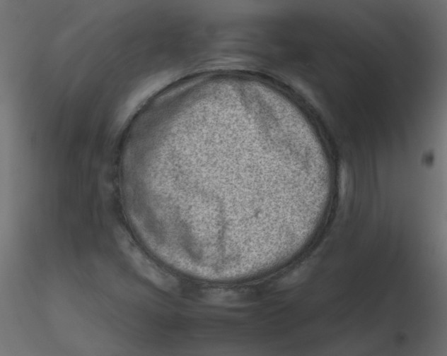 X0000116601405200912312047