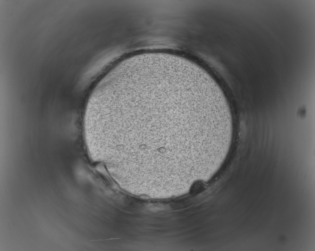 X0000116601407200912312047