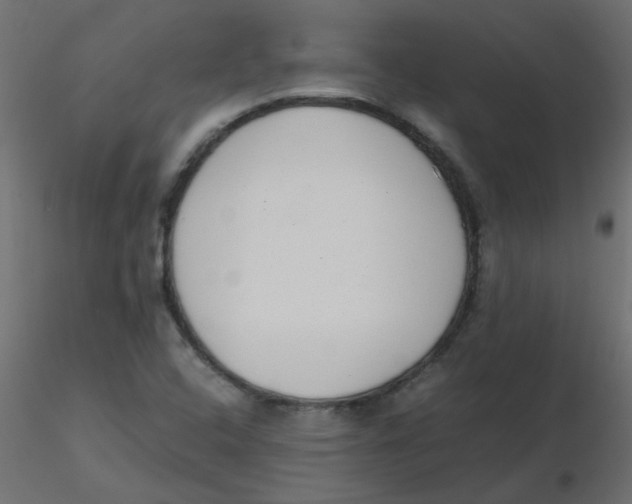 X0000116601408200912312047