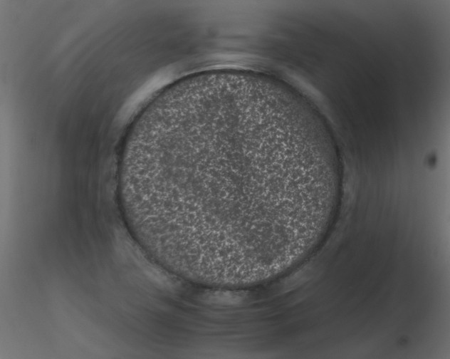 X0000116601411200912312047