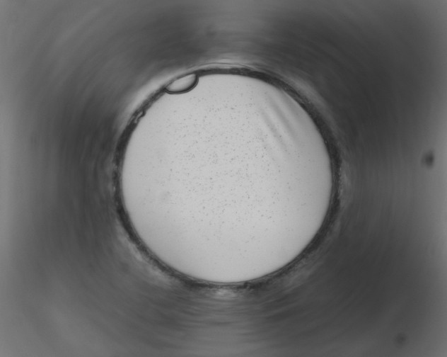 X0000116601412200912312047