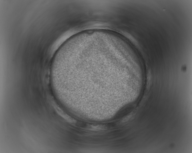 X0000116601413200912312047