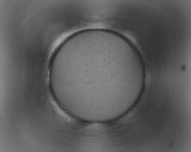 X0000116601414200912312047