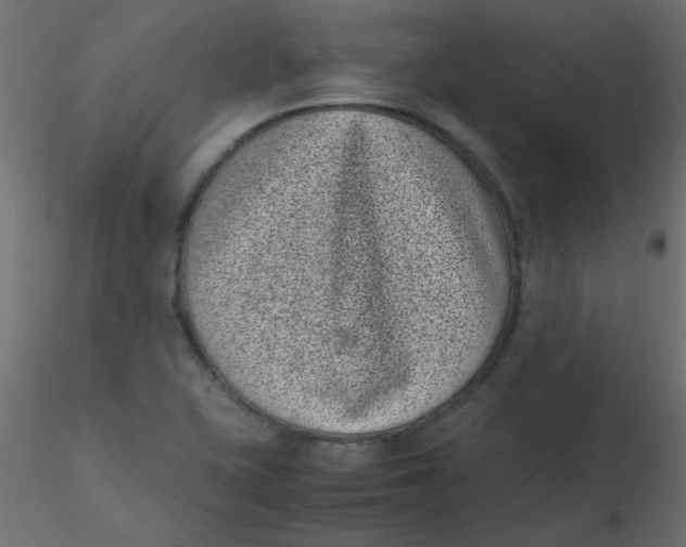 X0000116601415200912312047