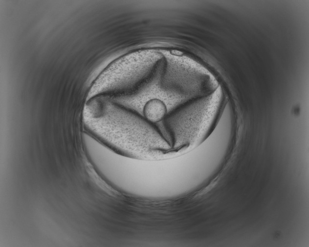 X0000116601417200912312047