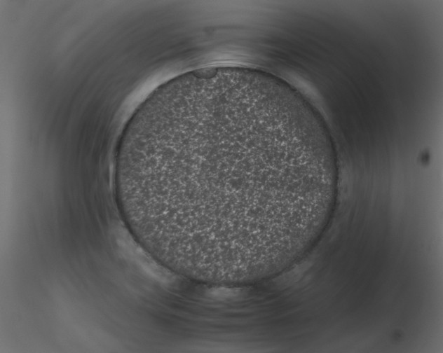 X0000116601419200912312047